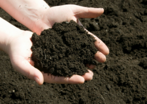 soil-vegetable-garden-austin-value-tree-service